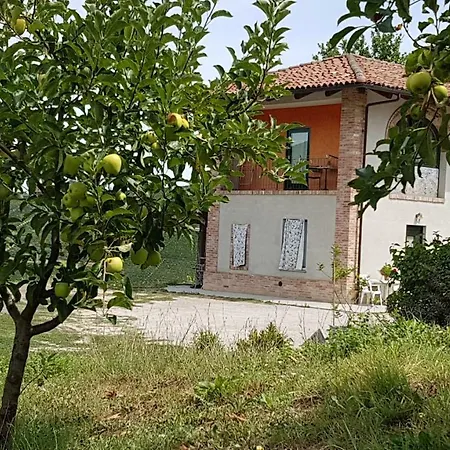 Tatil Evi Cascina Mottura Alba (Piedmont)