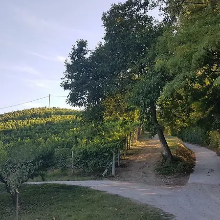 Cascina Mottura *