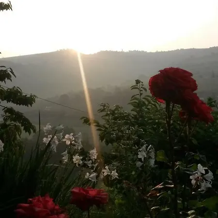 Cascina Mottura