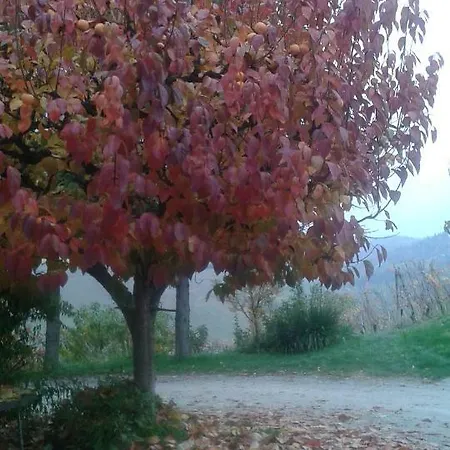 Cascina Mottura